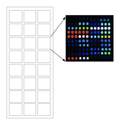 microarray slides and gaskets