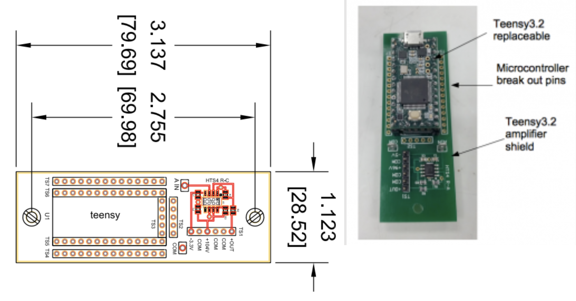 Amplifier Shield