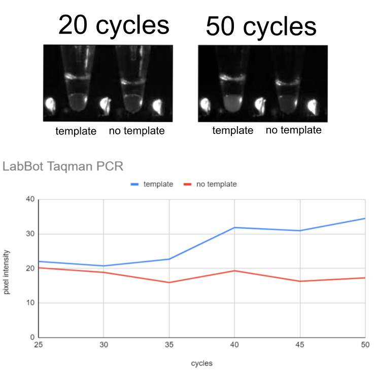 LabBot TaqMan Real-Time PCR example data